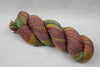 Cascade yarn heritage wave fingering 517 rainbow